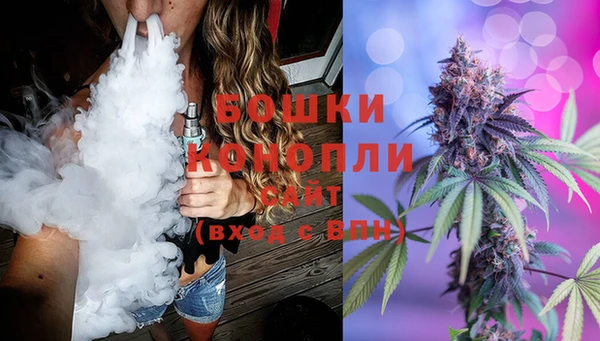 ГАЛЛЮЦИНОГЕННЫЕ ГРИБЫ Алзамай