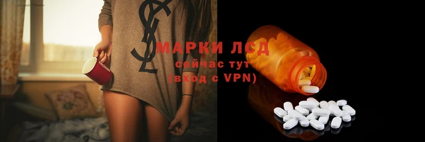 ГАЛЛЮЦИНОГЕННЫЕ ГРИБЫ Алзамай
