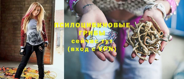 молекула духа Алексеевка